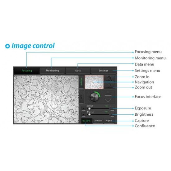 Juli BR Live cell movie analyzer Juli BR Live cell movie analyzer