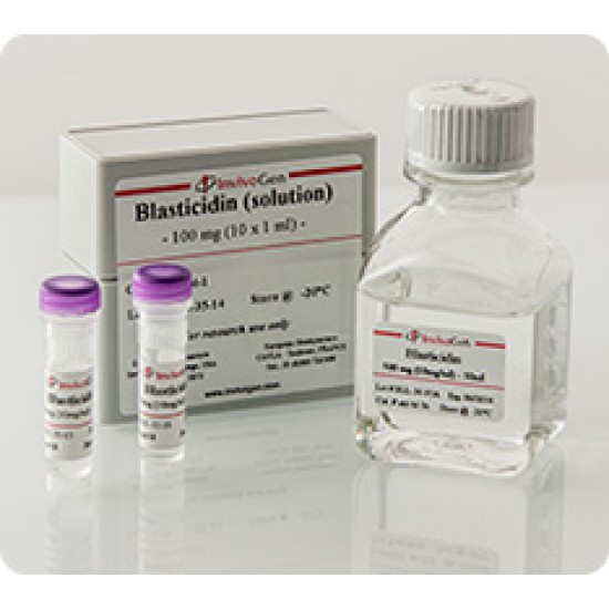 Blastiscidin 100 mg (10 x 1 ml) solution