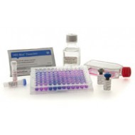 PlasmoTest™ - Mycoplasma Detection Kit (250 samples)