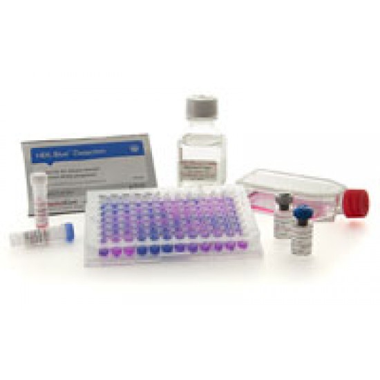 PlasmoTest™ - Mycoplasma Detection Kit (250 samples)