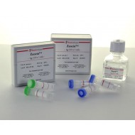 Zeocin 1 gr (powder)