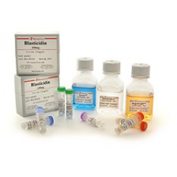 Phleomycin 100 mg (5 x 1 ml) solution