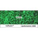 CalFectin™ Mammalian Cell Transfection Reagent (1.0 ml)