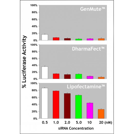 GenMute™ siRNA Transfection Reagent (1.0 ml) GenMute™ siRNA Transfection Reagent (1.0 ml)